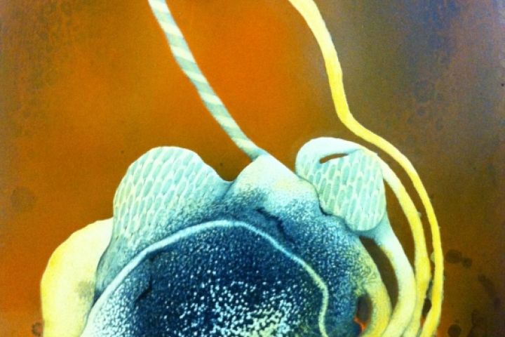 2012 - St.Martin Művésztelep kiállítás - Aggtelek